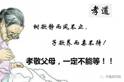 從國學(xué)小故事中體悟盡孝要趁早