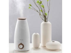 中國(guó)民族品牌
