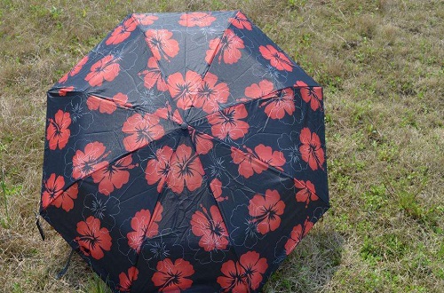 中國晴雨傘什么牌子比較好，晴雨傘十大品牌排名
