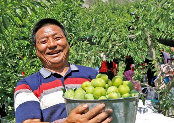 中國(guó)安防十大民族品牌
