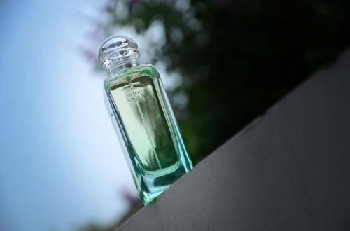 高檔香水：羨慕別人更出色？
