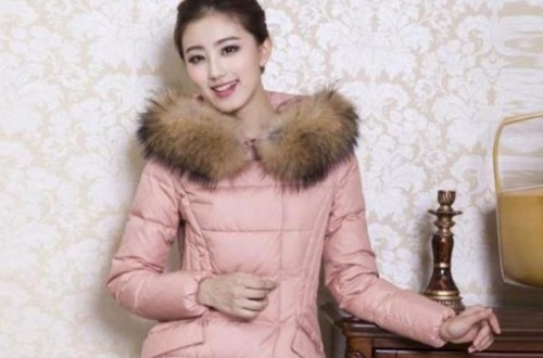國(guó)內(nèi)羽絨服十大品牌推薦