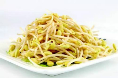 黃豆芽的營(yíng)養(yǎng)價(jià)值高么？經(jīng)常食用對(duì)我們有什么幫助？