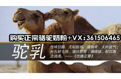 哪個(gè)牌子的駱駝奶粉好？喝駱駝奶粉有什么功效？