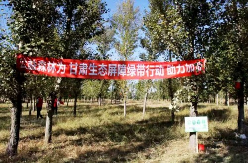 星途公益森林項目為 “甘肅生態(tài)屏障綠帶行動” 全面啟動