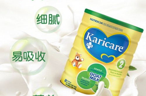 羊奶粉十大品牌排行榜 哪個品牌的羊奶粉更值得媽媽信賴？
