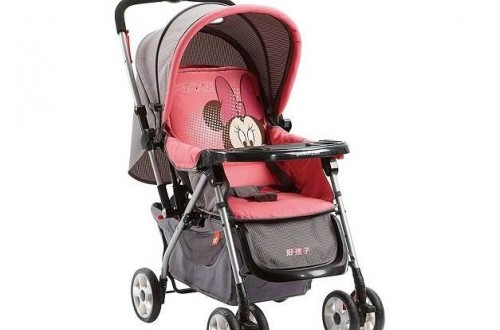 童車(chē)哪個(gè)牌子好 最新中國(guó)童車(chē)十大品牌排名