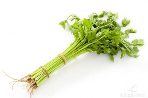 快速減肥妙招 十大減肥食物熱量排行榜
