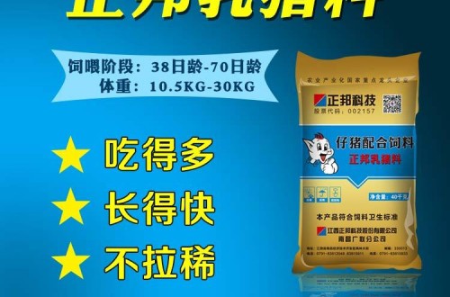 正邦飼料好不好 正邦教你養(yǎng)豬時如何通過合理配比節(jié)省飼料