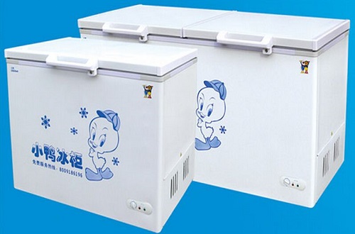 冰柜什么牌子的好，冰柜排名，選購(gòu)冰柜的技巧有哪些