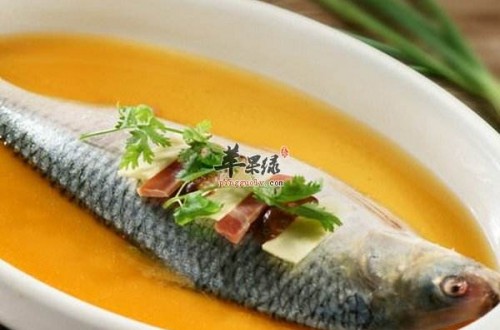 鰣魚的做法有哪些 鰣魚怎么做營養(yǎng)好吃