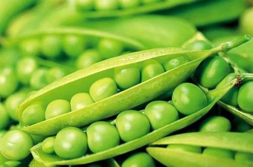 可以美白的食物有哪些 吃什么蔬菜美白營(yíng)養(yǎng)