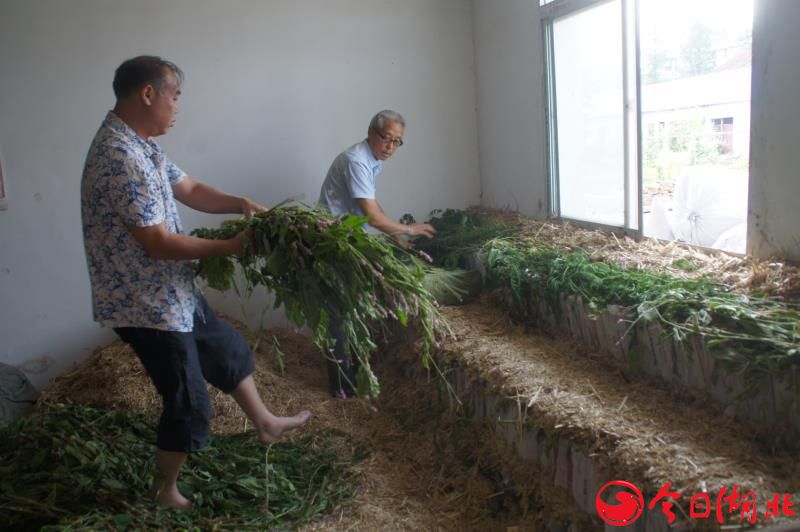 中國(guó)民族品牌