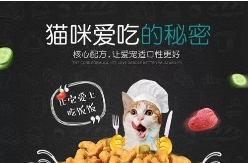 什么貓糧比較好 高蛋白的原本貓糧獲好評(píng)