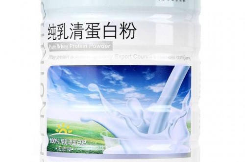 健身蛋白粉哪個牌子好 紐持健乳清蛋白粉口感好，效果佳