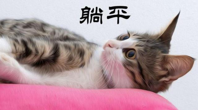 躺平，躺平是什么意思