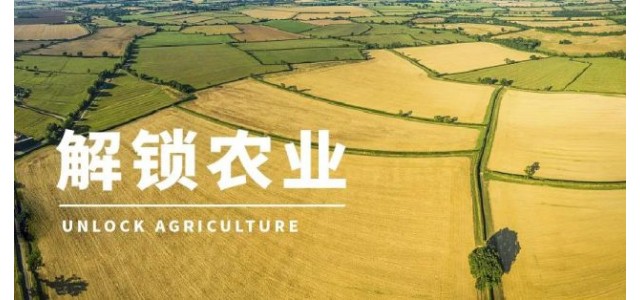 高啟杰等：三大電商平臺(tái)上，優(yōu)勢(shì)區(qū)域特色品牌占據(jù)較大市場(chǎng)份額