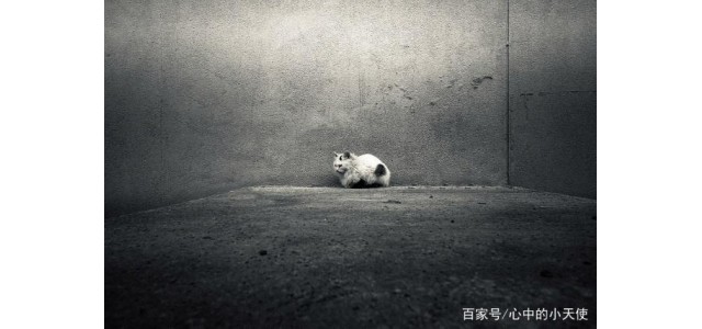 關(guān)于現(xiàn)代的「未來(lái)自閉癥」，專(zhuān)家怎么說(shuō)？