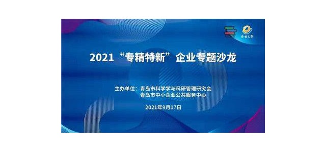 做強(qiáng)做大“專業(yè)化、創(chuàng)新型”企業(yè)專題沙龍熱議