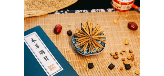 中藥第一民族品牌，股價(jià)從163元跌到53元，曾經(jīng)的龍頭還能漲嗎？